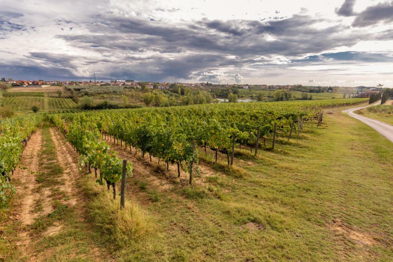 Вилла Agriturismo Tenute Poggio Di Bobi Лампореккьо Экстерьер фото